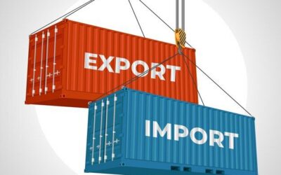 Import & Export